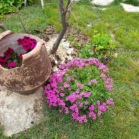 Casa Blanca منزل ريفي *