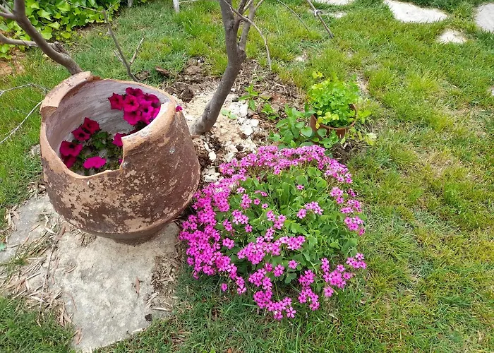 Casa Blanca Lantställe *